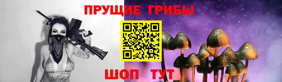 Лосино-Петровский  Галлюциногенные грибы GOLDEN TEACHER  Вход с VPN 